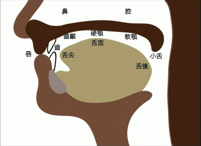 发音不清怎么办 说话发音不清怎么办